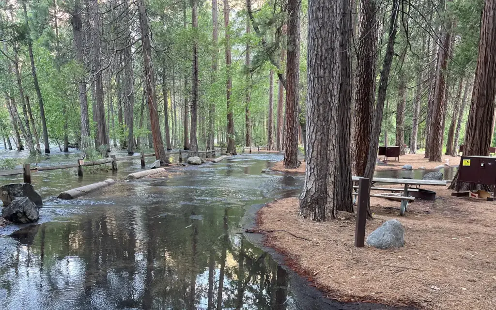 North Pines Campground, a National Park Service campground