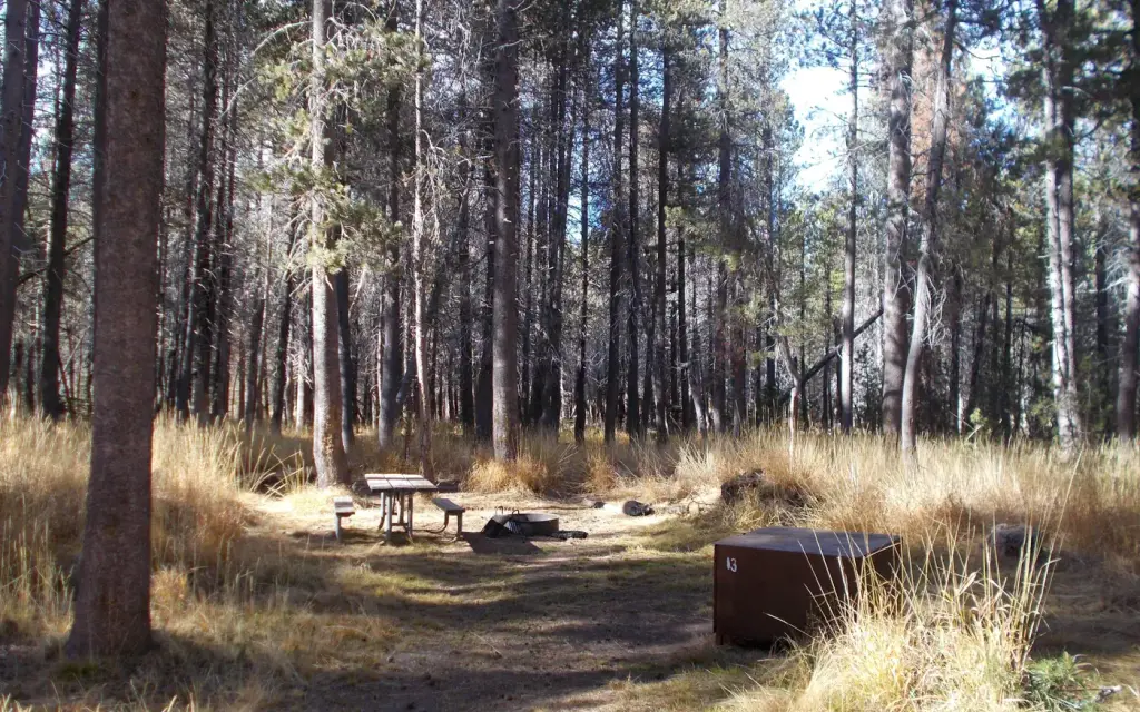 Bridalveil Creek Campground, a National Park Service campground