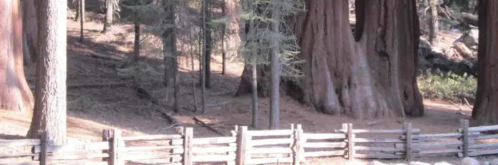 Dorst Creek Campground-Sequoia and Kings Canyon National Park, a National Park Service campground
