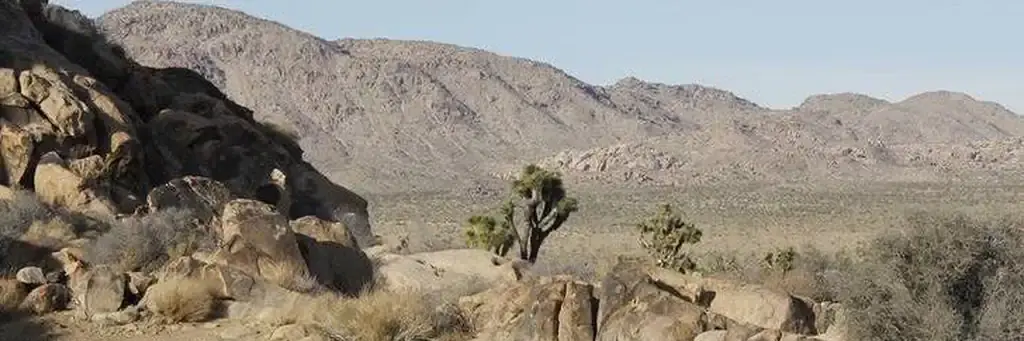 Sheep Pass Group, a National Park Service group camp