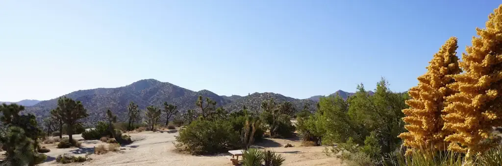 Black Rock Campground, a National Park Service campground