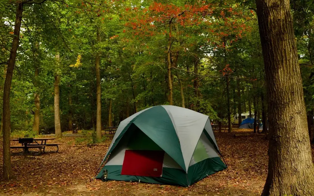 Greenbelt Campground, a National Park Service campground