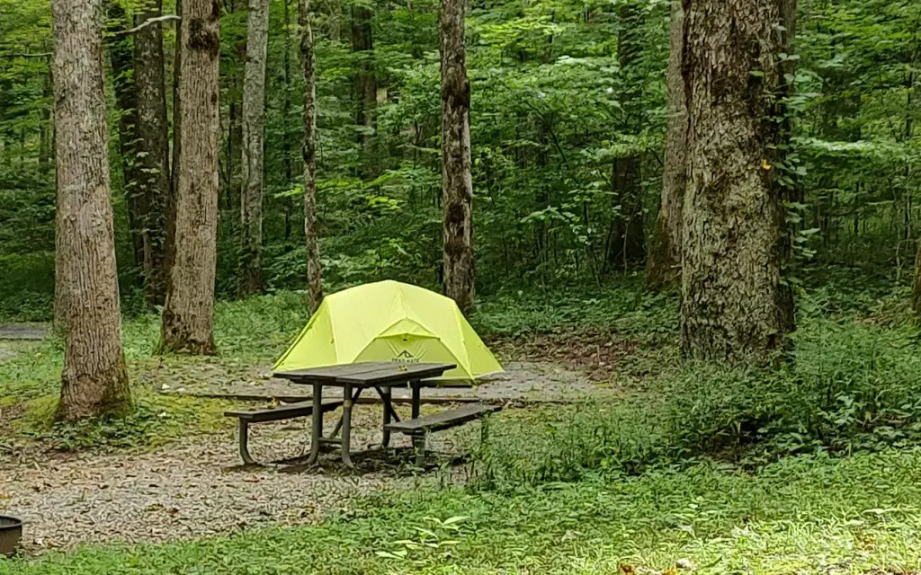 Cosby Campground, a National Park Service campground