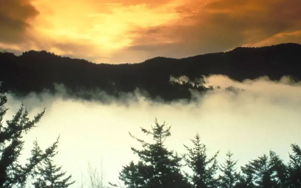 Tow String Horse Camp, a National Park Service campground