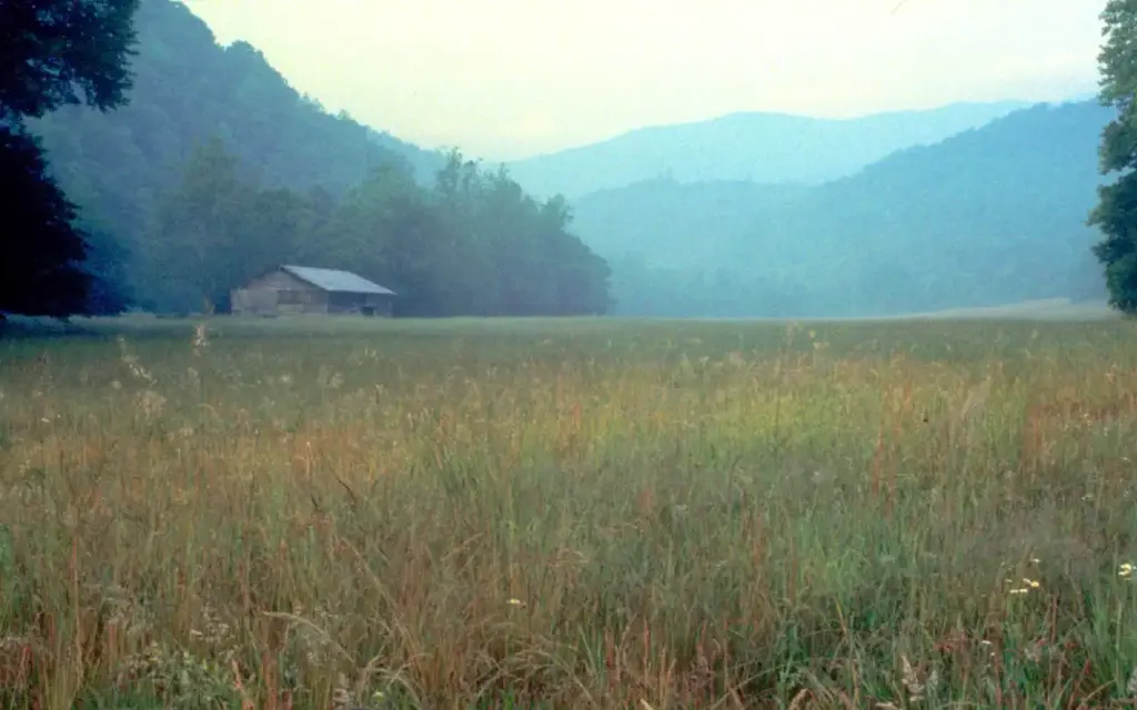 Cataloochee Horse Camp, a National Park Service campground