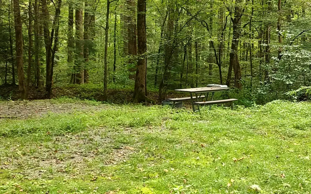 Big Creek Horse Camp, a National Park Service campground
