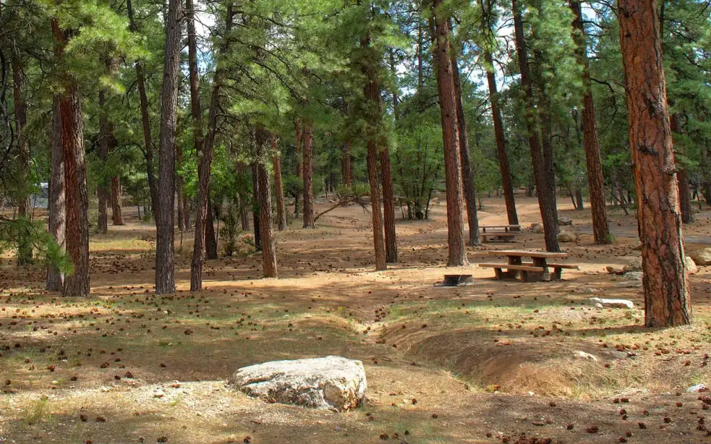 Mather Campground, a National Park Service campground