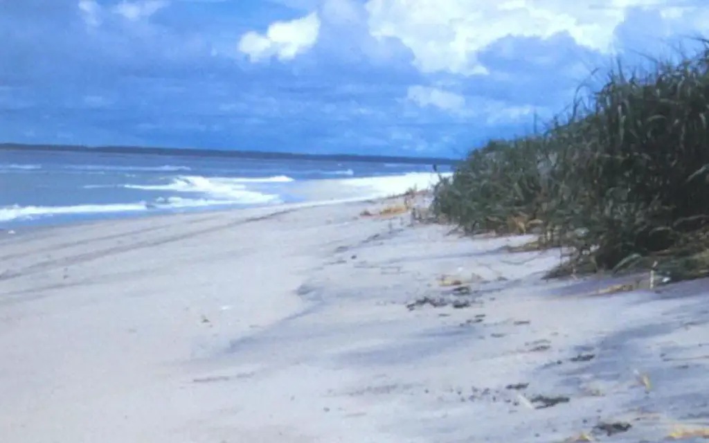 Assateague Island National Seashore Campground, a National Park Service campground