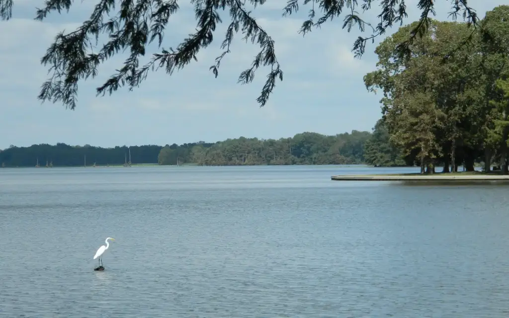 Merrisach Lake, an Army Corps campground