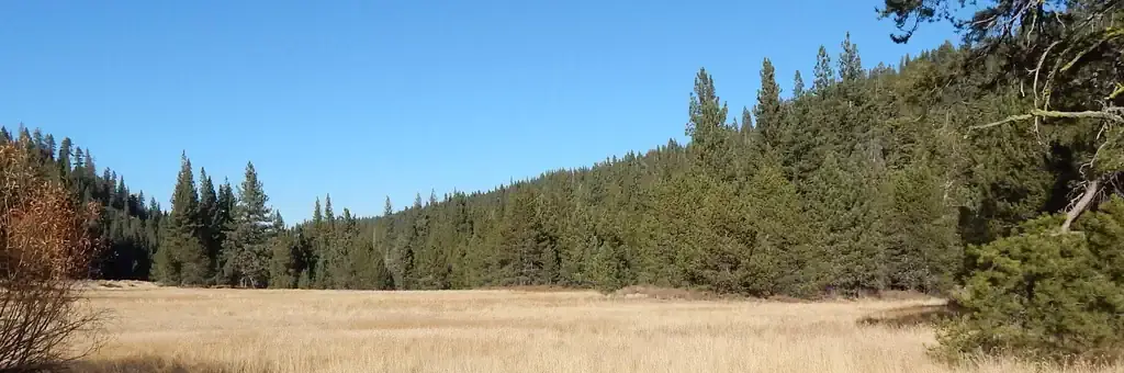Goose Meadows, a Forest Service campground