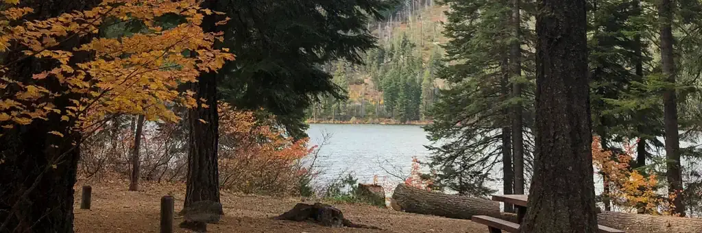 Link Creek, a Forest Service campground
