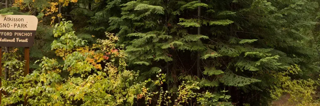 Atkisson Group camp, a Forest Service group camp