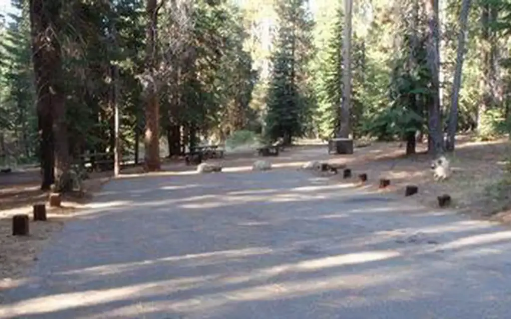Kinnikinnick, a Forest Service campground