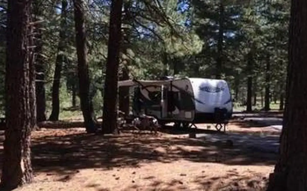 Grizzly, a Forest Service campground
