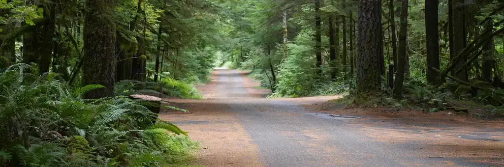 North Fork Campground, a Forest Service campground