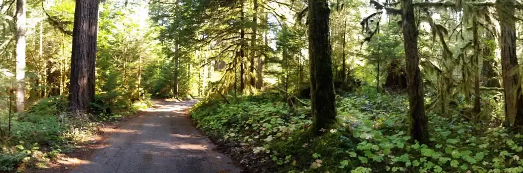 Iron Creek Campground, a Forest Service campground