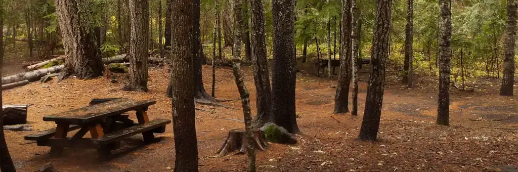 Peterson Prairie Campground, a Forest Service campground