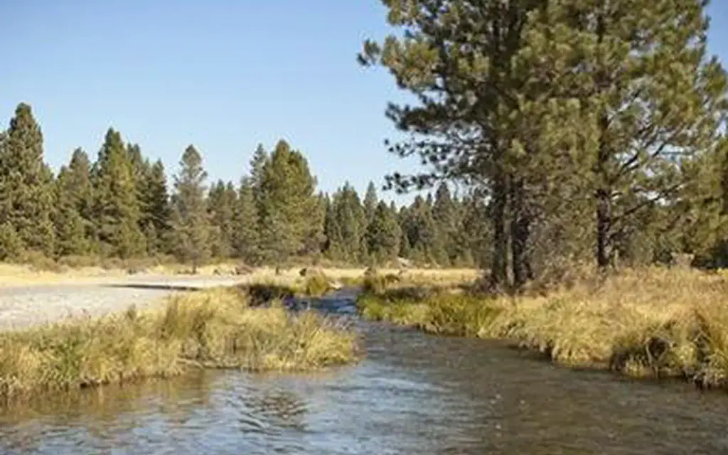 Ogden Group, a Forest Service group camp