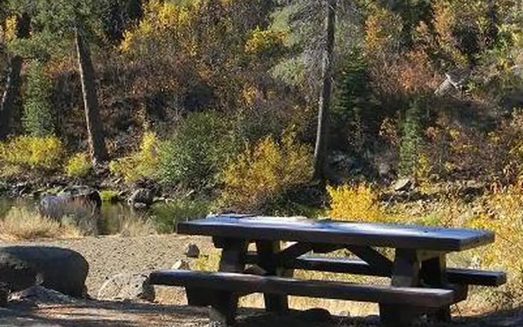 Lower Little Truckee, a Forest Service campground