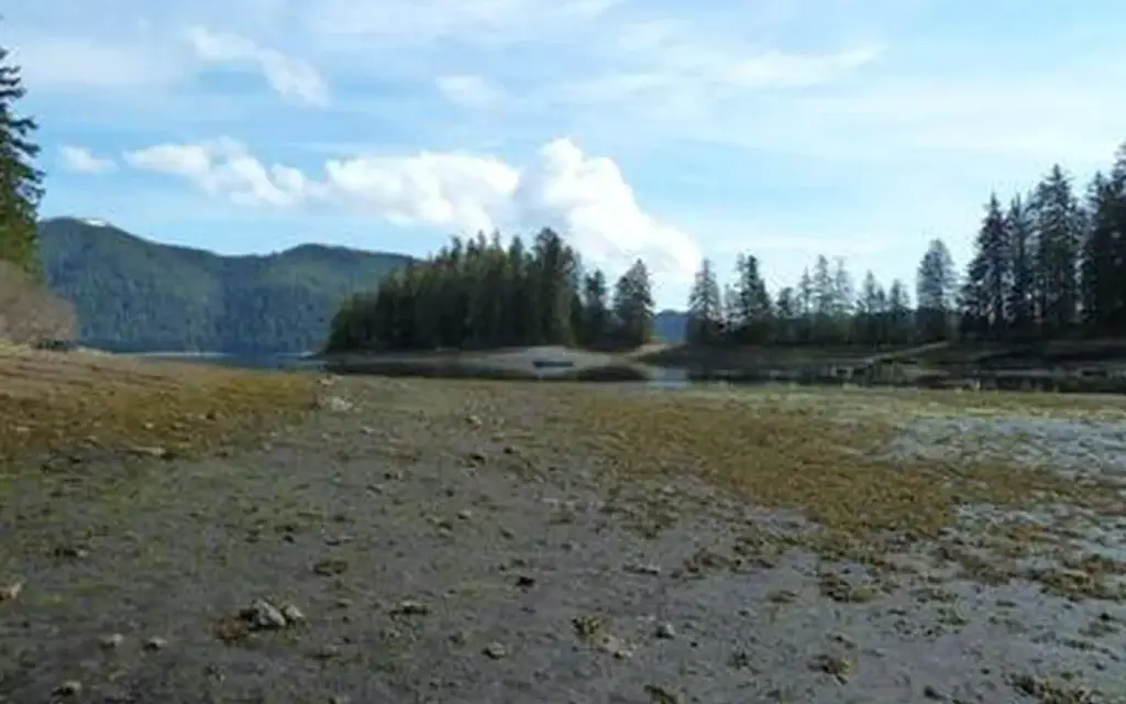 Pybus Bay Cabin, a Forest Service cabin rental