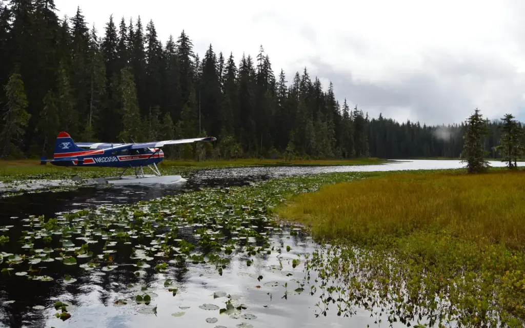 Peterson Lake Cabin, a Forest Service cabin rental