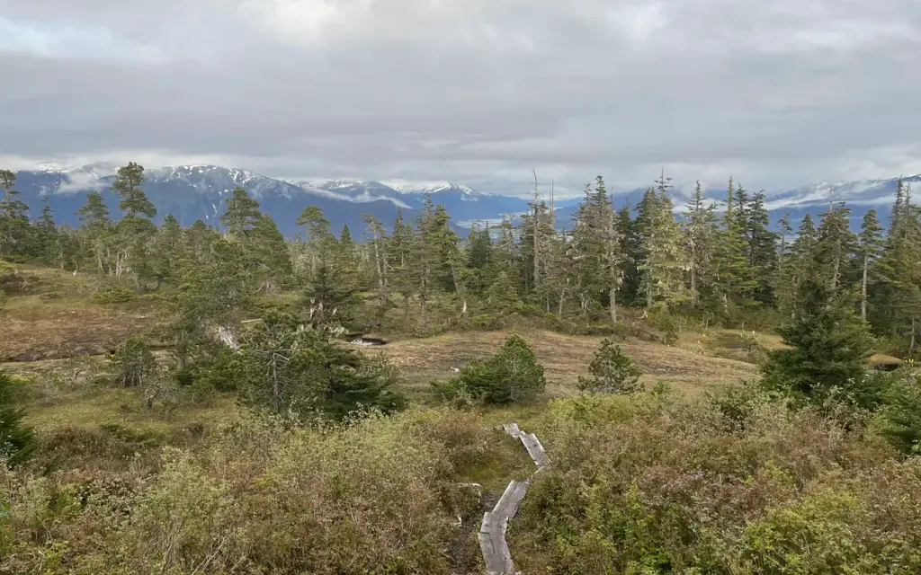 John Muir Cabin, a Forest Service cabin rental
