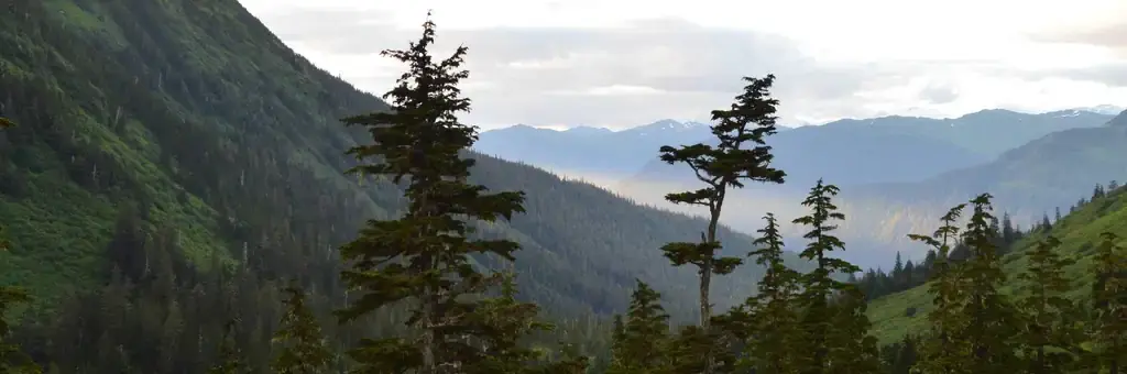 Dan Moller Cabin, a Forest Service cabin rental
