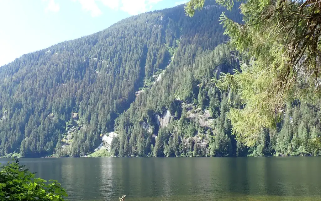 Wilson View Cabin, a Forest Service cabin rental