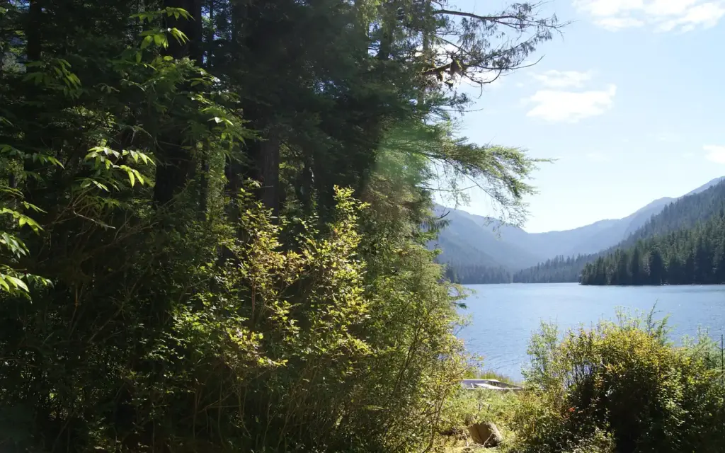 Winstanley Lake Cabin, a Forest Service cabin rental