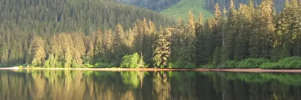 Kook Lake Cabin, a Forest Service campground