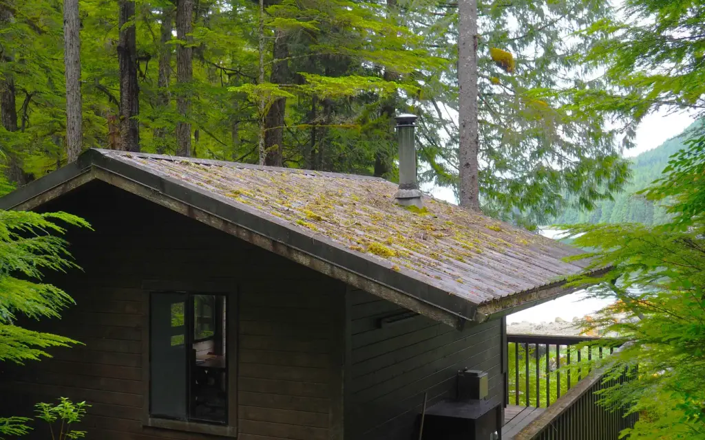 Frosty Bay Cabin, a Forest Service cabin rental