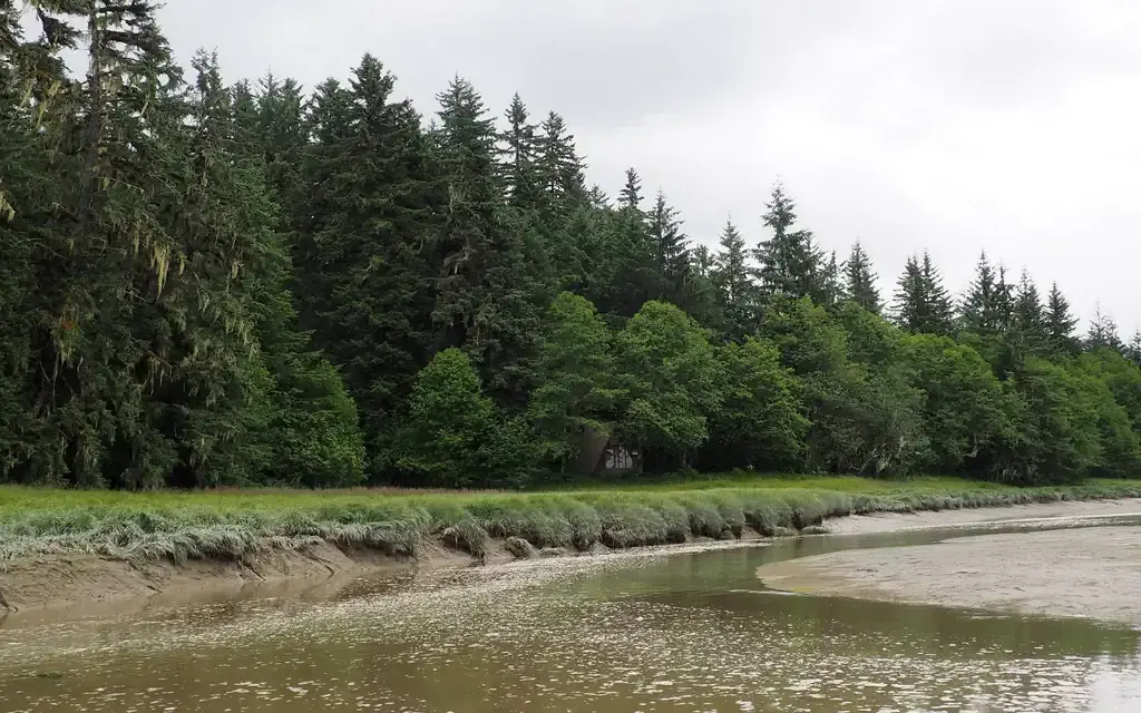 Mallard Slough Cabin, a Forest Service cabin rental