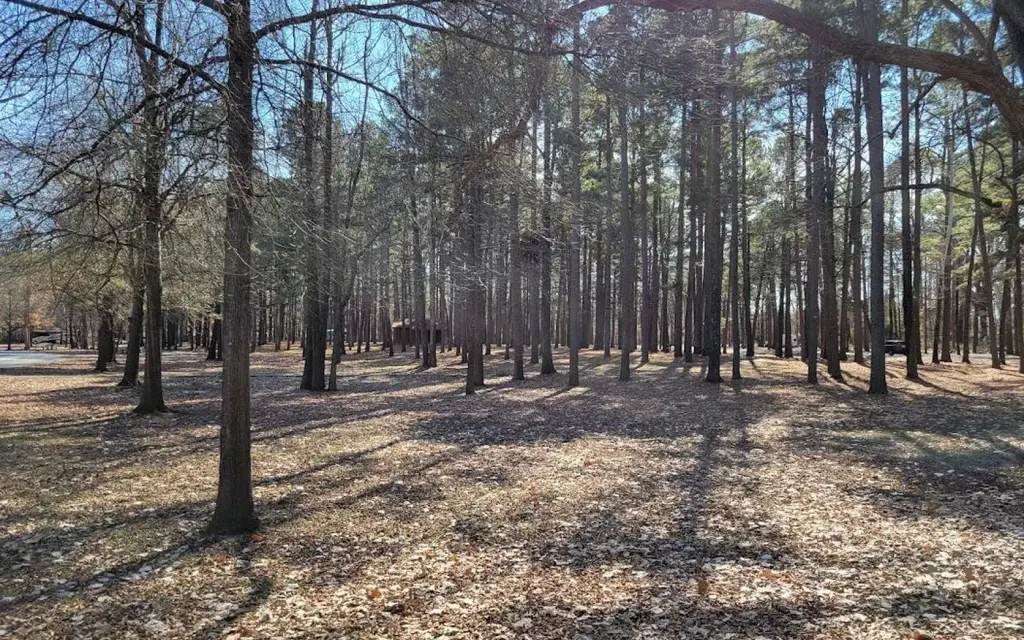 Maumelle, an Army Corps campground