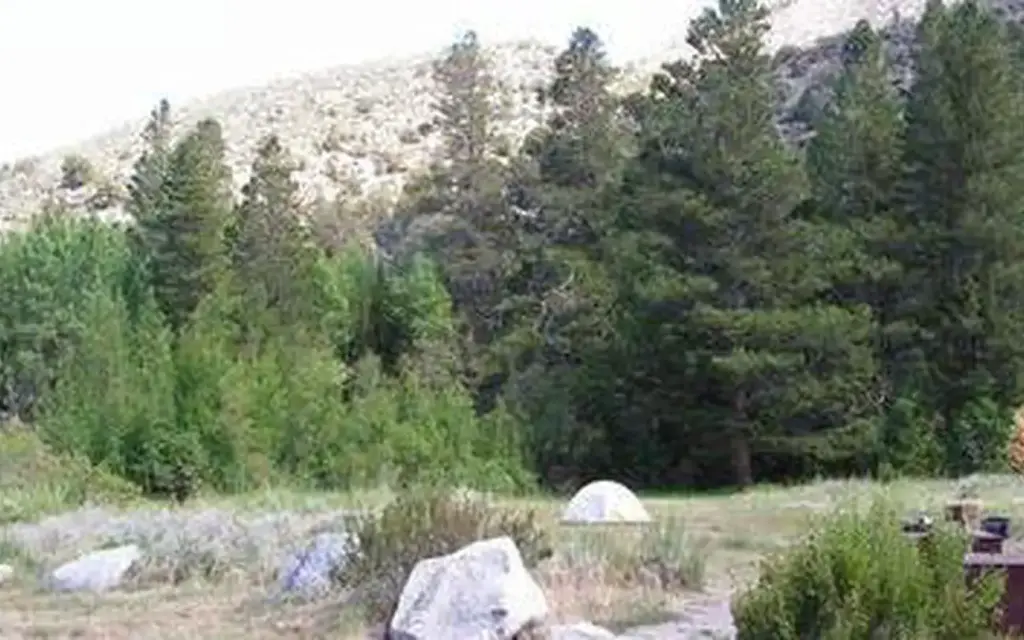 Aspen Group (Inyo), a Forest Service group camp