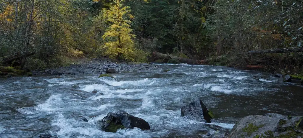 Panther Creek campground, a Forest Service campground