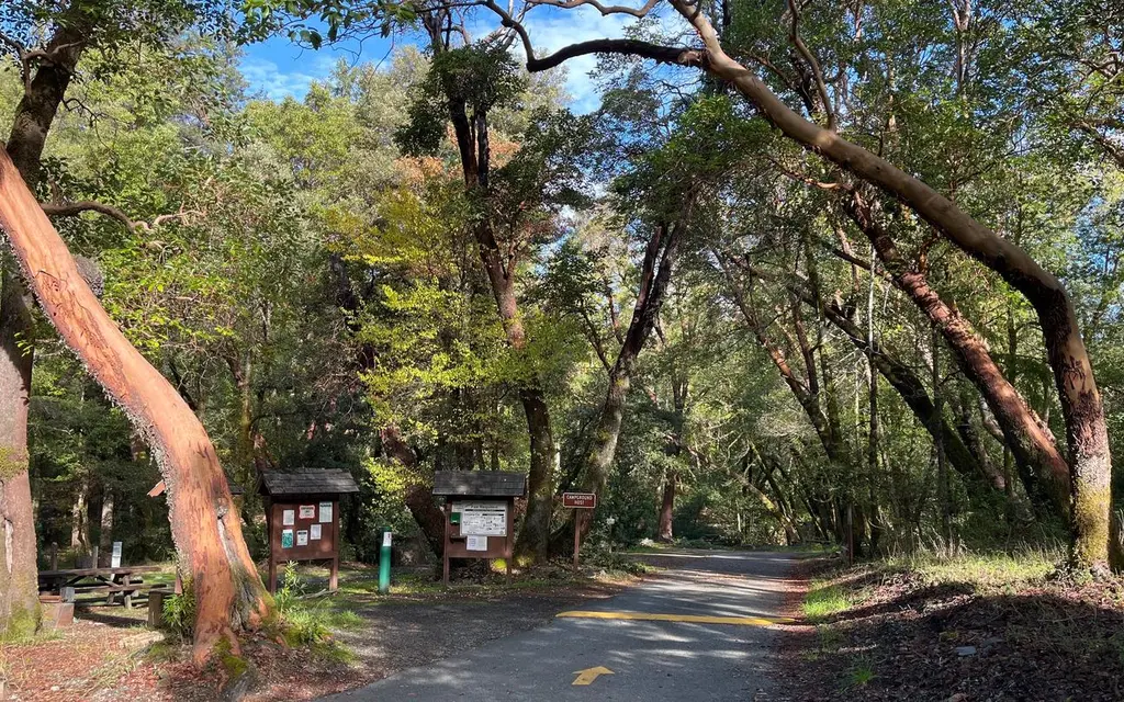 Boise Creek, a Forest Service campground