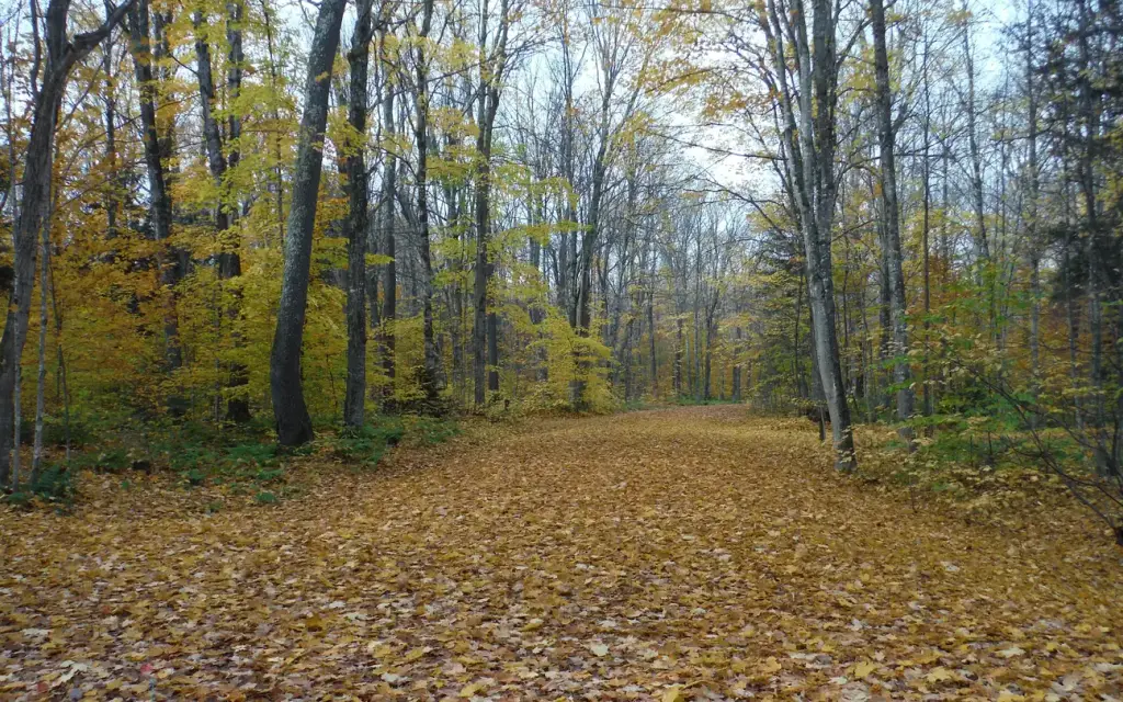 Au Train Lake Campground, a Forest Service campground