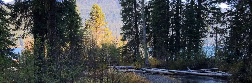 Trapper Creek Campground, a Forest Service campground