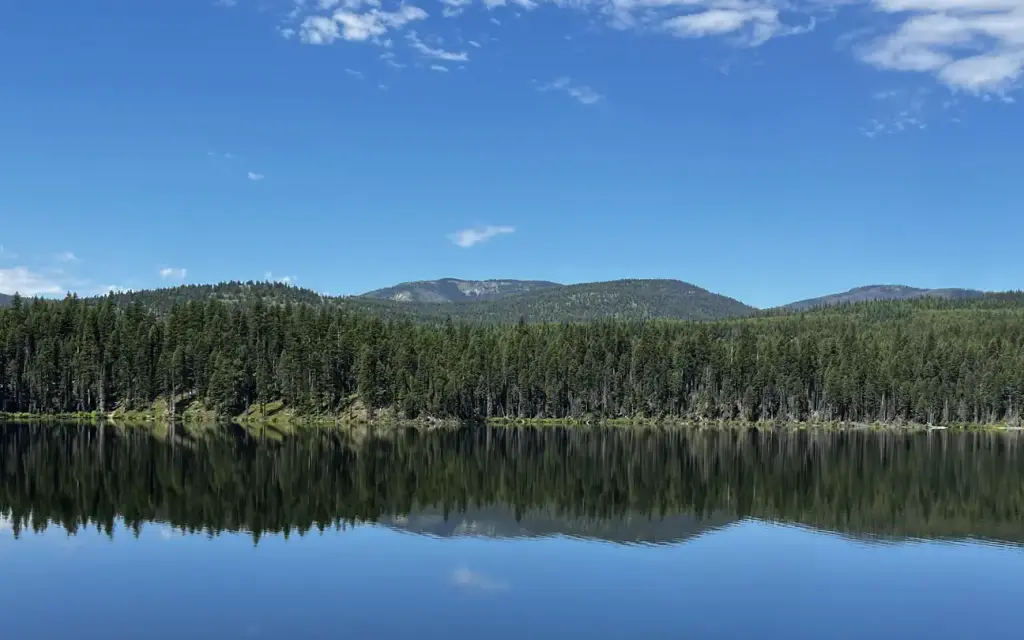 Lakeside Lolo Campground, a Forest Service campground