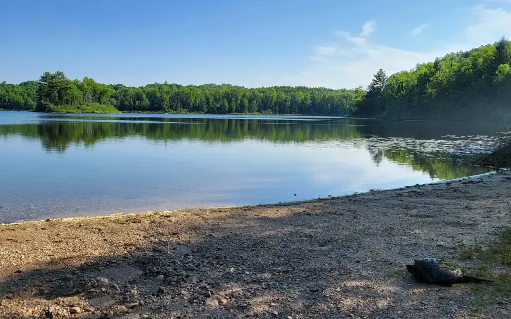 Cookson Lake Campsites, a Forest Service campground