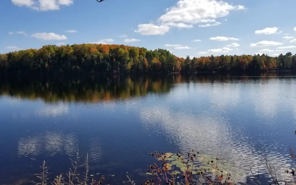 Ewing Point Campsite, a Forest Service campground