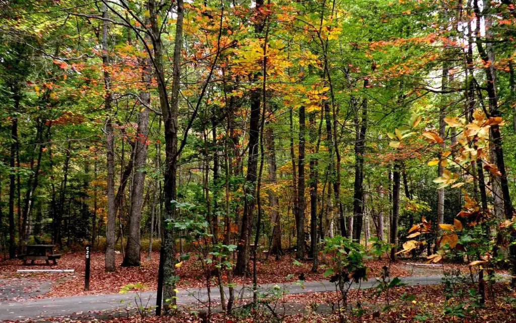 Oak Ridge Campground, a National Park Service campground