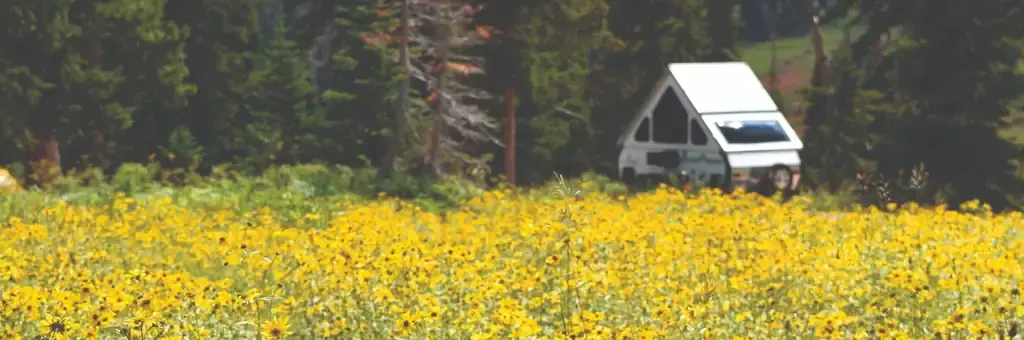 Point Supreme Campground, a National Park Service campground