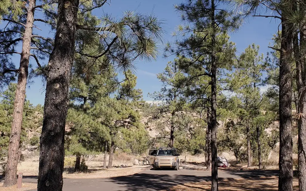 Juniper Campground, a National Park Service campground