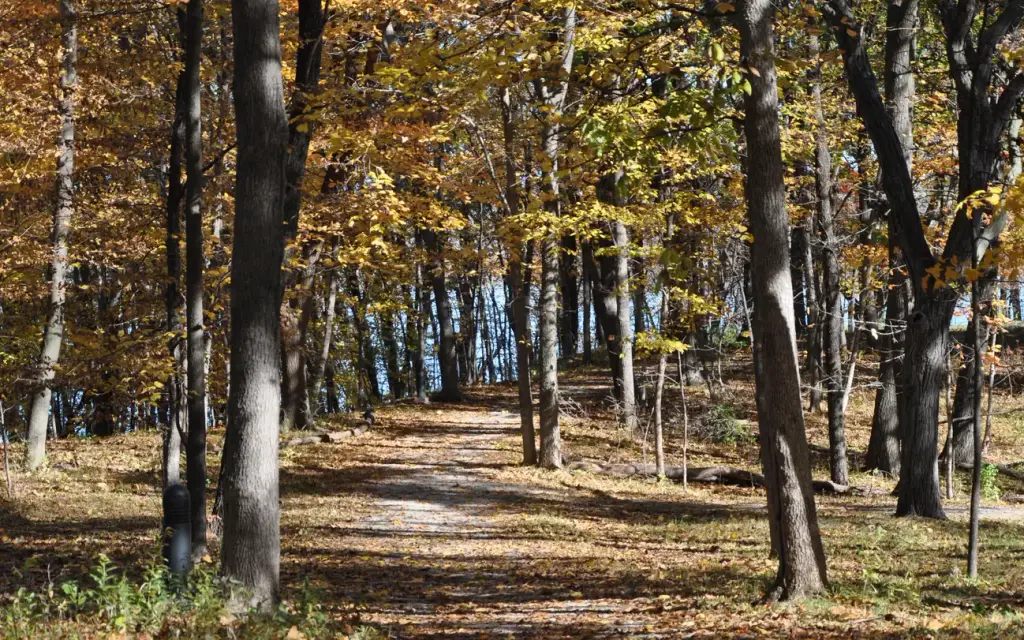 Acorn Valley, an Army Corps campground