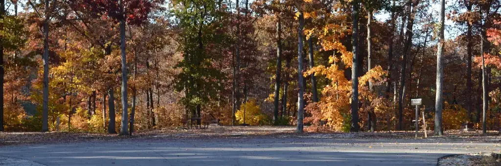 Forrest W. Bo Wood, an Army Corps campground