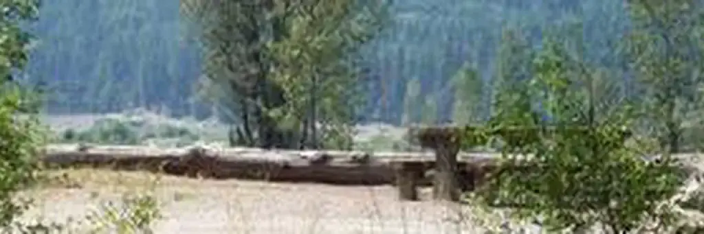 Cle Elum River Group Site, a Forest Service group camp