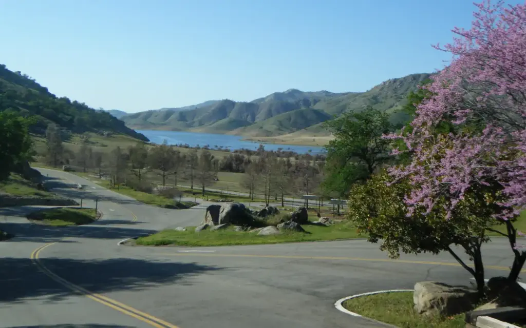 Horse Creek, an Army Corps campground