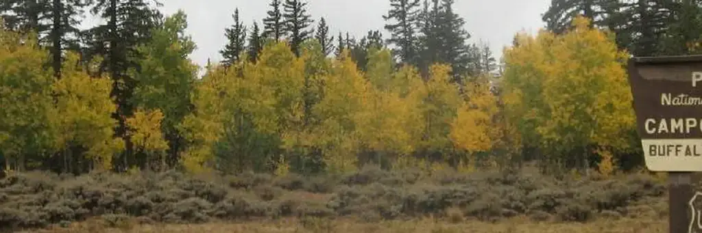 Buffalo Springs, a Forest Service campground