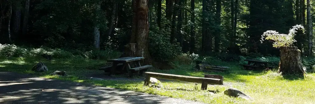Blue Lake Creek Campground - Gifford Pinchot NF, a Forest Service campground